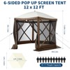 Gazebo Screen Tent with Mosquito Netting, 6 Sided Pop Up Canopy Shelter, with Carrying Bag, Ground Stakes, for Outdoor Camping, Lawn, Backyard - 3 of 4