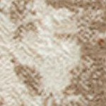 ivory rust