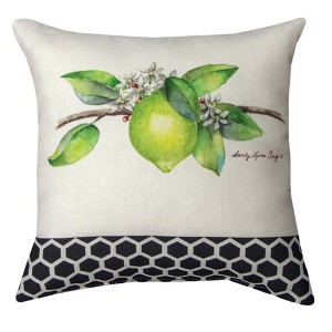 Small Accent Pillow Grove Song Fruit – 12 Inch Design by Manual Woodworkers and Weavers - 1 of 3