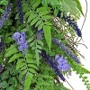 30" Artificial Fern and Astilbe Flowers Teardrop Swag - National Tree Company - 3 of 3