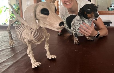 Guest review image 1 of 1, zoom in