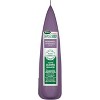 Scotts Turf Builder Grass Seed Perennial Ryegrass Mix Establishes Quickly with Root-Building Nutrition for a Stronger Lawn, 2.4 lb. - 4 of 4