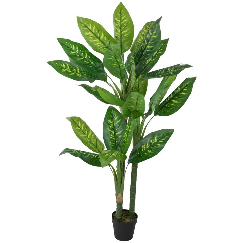 Northlight 59" Artificial Wide Leaf Green Dieffenbachia Potted Plant, 1 of 5