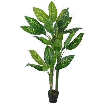 Northlight 59" Artificial Wide Leaf Green Dieffenbachia Potted Plant