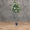 2Pack Artificial Camellia Tree,5FT  Faux Camellia Plant Fake Potted Camellia Flower Tree Realistic Trunk And Flowers for Home Office Living Room - 3 of 4