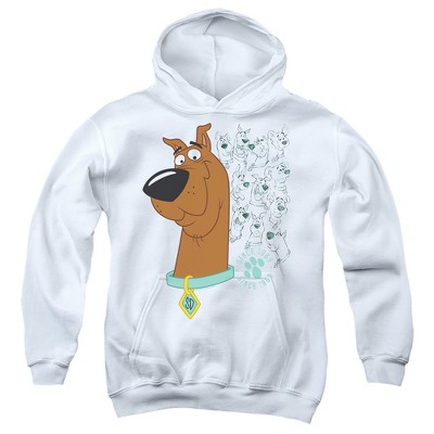 Boys’ Scooby Doo Evolution Of Scooby Doo Hooded Sweatshirt