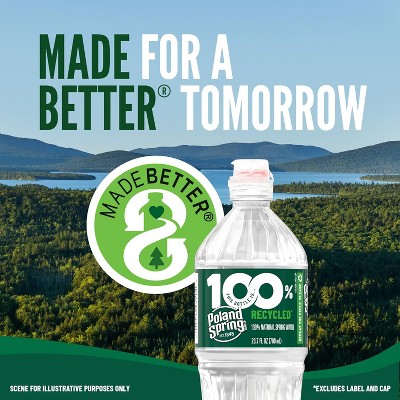 Poland Spring Brand 100% Natural Spring Water, Plastic Bottles,16.9 Fl Oz (Pack of 12) Unflavored 16.9 Fl Oz (Pack of 12)