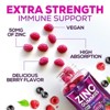 Zinc Gummies 50mg, Bone, Skin & Immune Support Health Gummy, Premium Antioxidant Chewable, Gluten Free, Vegan Zinc, 60 Gummies By Nature's Nutrition - 3 of 4