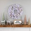Northlight Icy White Iridescent Spruce Artificial Christmas Wreath, 24-Inch, Unlit - 3 of 4