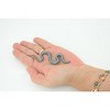 Collectible Wildlife Gifts | Indigo Snake, Drymarchon couperi, Blue Indigo, Educational, Rubber Reptile, Realistic Figure, Gift,    4"    SF42 B15 - 3 of 4