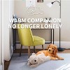 Allforpaws Little Buddy - Puppy Soothing Heartbeat Warm Bear Comfort Dog Sleep Aid Plush Toy - 2 of 4