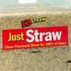 Rhino Seed EZ-Straw Just Straw 1 Cubic Foot Sun Protected Premium Clean Processed Seeding Straw Bale for Bedding, Nesting, and Craft Projects (4 Pack) - 3 of 4