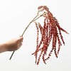 31"H Sullivans Artificial Christmas Modern Amaranth Spray  Indoor Christmas DÃƒÂ©cor - 3 of 3