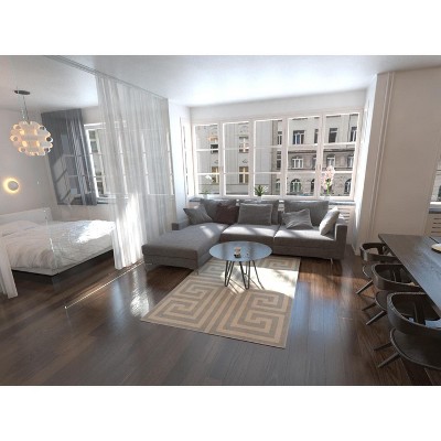 Gray and Beige Geometric Polypropylene Area Rug, 3'3" x 5'3"