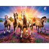 MasterPieces 300 Piece EZ Grip Jigsaw Puzzle - Wild Stallions - 18"x24" - 3 of 4