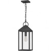 Quoizel Lighting Thorpe 1 - Light Pendant in  Mottled Black - 2 of 4