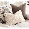 LISM 12"x20" Teddy Faux Fur Pillowcases,Decorative Lumbar Pillow Covers Set of 2 - 3 of 4