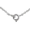 Guili Rose-Plated Sterling Silver CZ Heart & Flower Necklace in White or Rose Gold, Romantic & Stylish Piece for Any Jewelry Lover. - 4 of 4