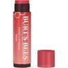Burt's Bees Tinted Lip Balm - Rose Blister - 0.15oz - image 2 of 4