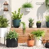 Geared Ceramic Indoor Outdoor Planter Pot Charcoal - Threshold™ - 2 of 4