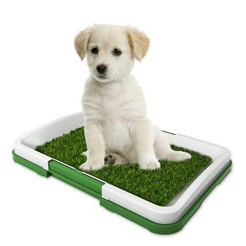 Pet Adobe Puppy Artificial Grass Potty Trainer Mat