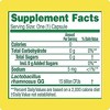 Culturelle - Probiotics Health & Wellness 15 Billion CFUs, 30 Count - 2 of 4