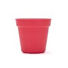 Mintra Garden Pots 4pk - 2 of 4