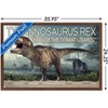 Trends International Dinosaurs - T-Rex Framed Wall Poster Prints - 3 of 4