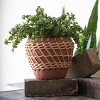 Natural Terracotta and Woven Rattan Planter - Foreside Home & Garden - image 2 of 4