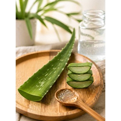 Aloe Leaf - each