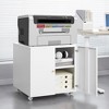 NicBex 2-Door File Cabinet with Lock Mobile Storage Cabinet Mobile Under Desk Storage Filing Cabinet for Home, Office - 2 of 4