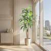 Brazilian Ironwood Artificial Plant – 6FT Garden Faux Tree with 5 Trunks, Tall Greenery Topiary for Modern Indoor & Outdoor Home Decor - 3 of 4