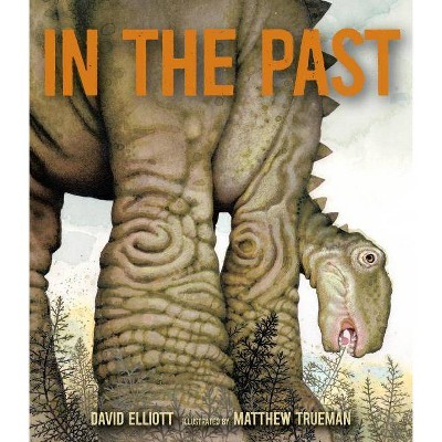 In the Past - by  David Elliott (Hardcover)