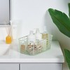 Aria Jelly Decorative Basket - Brightroom™ - 4 of 4