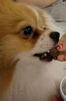 Guest review image 2 of 2, zoom in