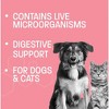 Pet Health Pros Diarrhea relief Probiotic Paste; Digestion Support, Gas Relief, Constipation Treatment; 30cc; Flavor Neutral - 4 of 4