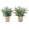 Artificial Plant, 13" Tall, Eucalyptus Grass, Indoor, Faux, Fake, Table, Greenery, Potted, Set Of 2, Decorative, Green Leaves, White Pots - 2 of 4