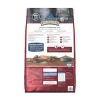 Blue Buffalo Wilderness High Protein Natural Adult Dry Dog Food - 2 of 4