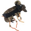 Midlee Scary Spider Costume - 4 of 4