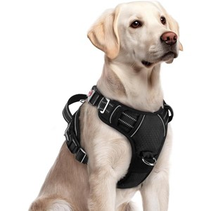 rabbitgoo Dog Harness for Large Dogs, No Pull Pet Vest with 3 Buckles, Adjustable Soft Padded Pet Strips, Black, L - 1 of 1
