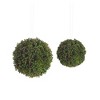 Boxwood Sedum Orb Set Plastic – 4" Greenery Half Orbs (Set of 8) by Melrose - 2 of 3