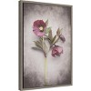 Amanti Art 16"x23" Vintage Hellebore Study V by Felicity Bradley Framed Canvas Wall Art Print: Modern Style, Polystyrene Frame - 2 of 4