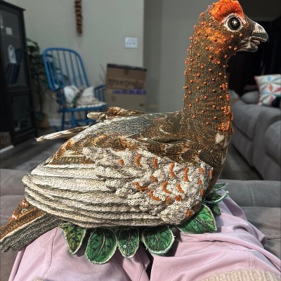 Guest review image 3 of 6, zoom in