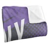 City College Of New York Fan Zone Silky Touch Super Soft Throw Blanket 50x60 - 3 of 4