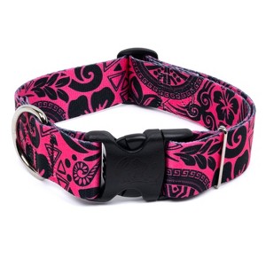 Country Brook Petz HossFit Jr Wide Deluxe Dog Collar - Attitude Collection - 1 of 4