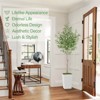 Artificial Olive Tree, Faux Olive Tree with Tall White Planter, Ideal for Home Decor and Housewarming Gift - 4 of 4