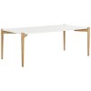 Rue Rectangle Coffee Table - White/Oak - Safavieh - 3 of 4