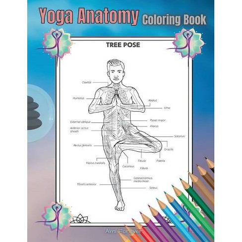 Download Yoga Anatomy Coloring Book By Almi Forever Paperback Target