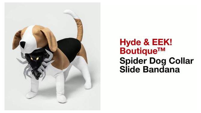 Halloween Spider Dog Collar Slide Bandana - Hyde &#38; EEK! Boutique&#8482;, 2 of 9, play video