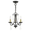 Livex Lighting Daphne 3 - Light Chandelier in  Black/Antique Brass - 2 of 4